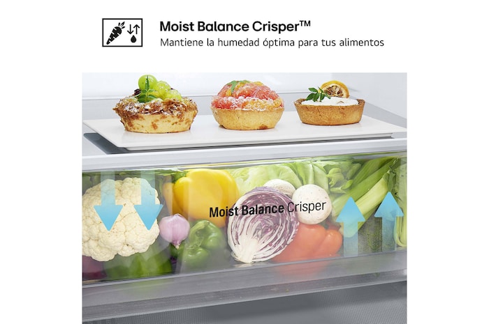 LG Frigorífico Combi Door Cooling+, 1,86m, Clasificación E, capacidad de 374l, Blanco. Serie 300, GBV3100ESW