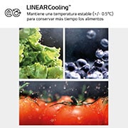 LG Door Cooling+, 2 m, Clasificación D, capacidad de 419 l, Acero negro-grisáceo mate antihuellas, GBV5250DEP, GBV5250DEP