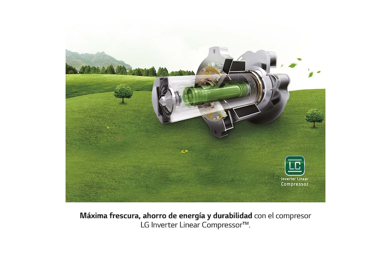 LG Congelador 1 puerta Total No Frost, Clasificación D, 355 L, Acero inoxidable texturizado , GFM61MBCSF