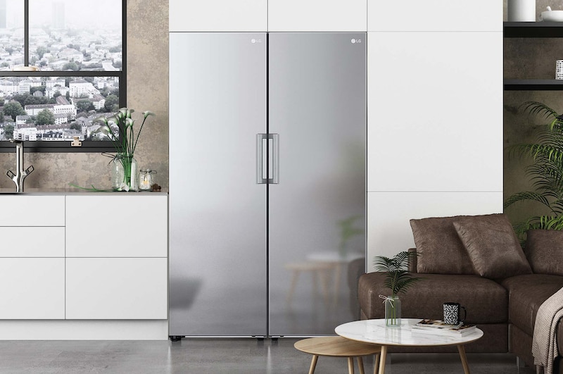 LG Congelador 1 puerta Total No Frost, Clasificación D, 355 L, Acero inoxidable texturizado , GFM61MBCSF