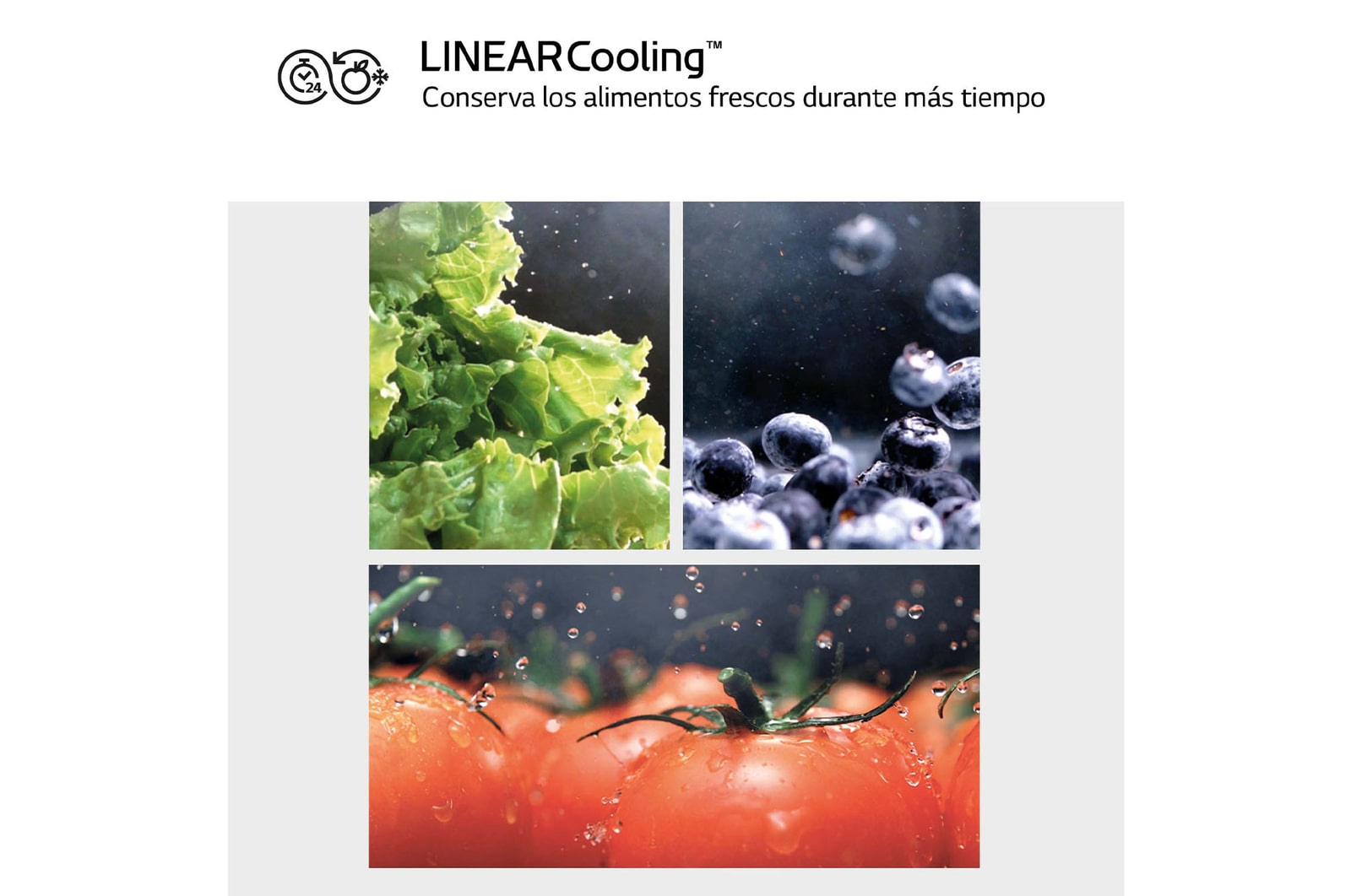 LG Congelador Total No Frost, Clasificación D, 355 L, Acero Negro-grisáceo mate, GFM61MCCSF
