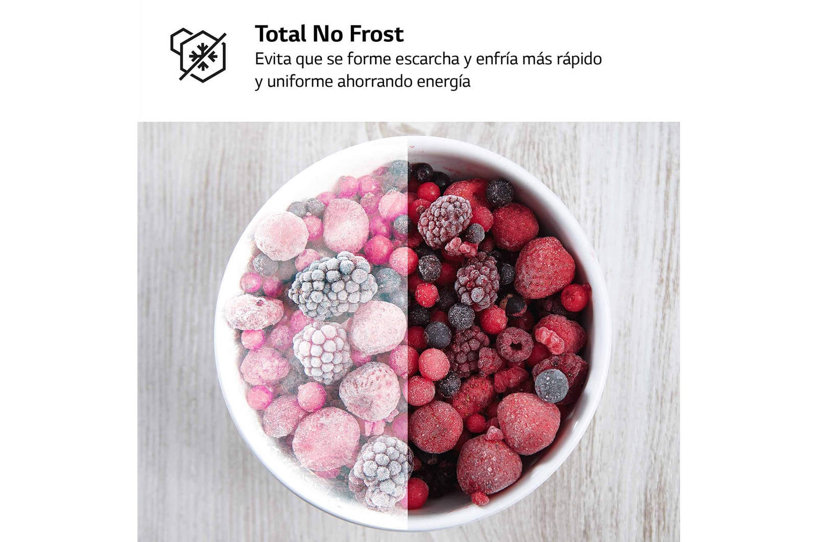 LG Congelador Total No Frost, Clasificación D, 355 L, Acero Negro-grisáceo mate, GFM61MCCSF