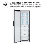 LG Congelador Total No Frost, Clasificación D, 355 L, Acero Negro-grisáceo mate, GFM61MCCSF