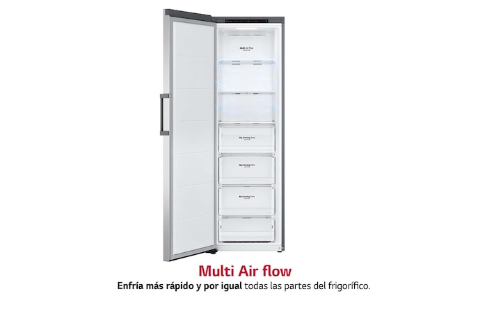 LG Congelador 1 Puerta Total No Frost Smart Inverter, Clasificación E, 355 L, <br> Inox antihuellas, GFT41PZGSZ