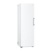 LG Congelador 1 Puerta Total No Frost Smart Inverter, Clasificación E, 324 L, <br> Blanco, GFT41SWGSZ