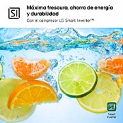 LG Congelador 1 Puerta Total No Frost Smart Inverter, Clasificación E, 324 L, <br> Blanco, GFT41SWGSZ