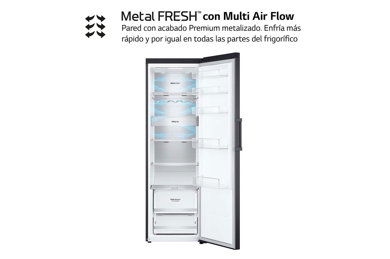 LG Frigorífico Una Puerta antihuellas, 413L, Negro-grisáceo mate , GLM71MCCSX