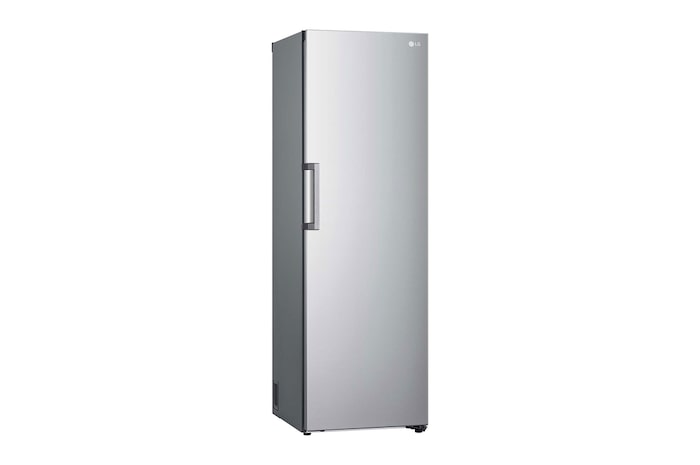 LG Frigorífico 1 puerta Door cooling, Total No Frost, Clasificación E, 413L, Inox antihuellas, GLT51PZGSZ