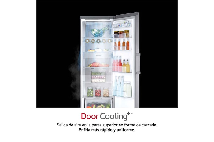 LG Frigorífico 1 puerta Door cooling, Total No Frost, Clasificación E, 413L, Inox antihuellas, GLT51PZGSZ