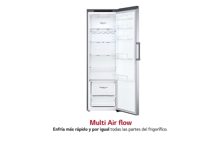 LG Frigorífico 1 puerta Door cooling, Total No Frost, Clasificación E, 413L, Inox antihuellas, GLT51PZGSZ