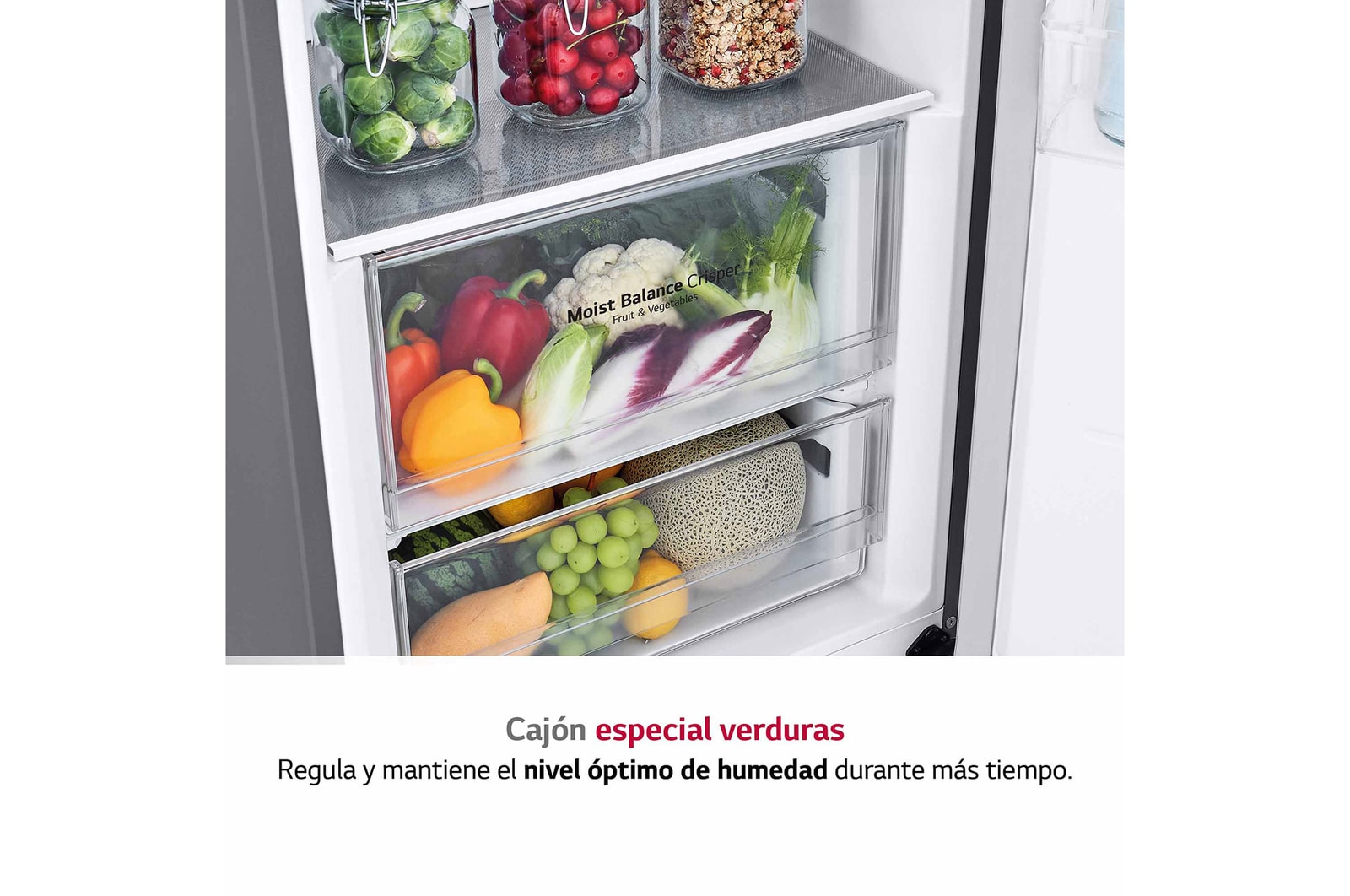 LG Frigorífico 1 puerta Door cooling, Total No Frost, Clasificación E, 413L, Inox antihuellas, GLT51PZGSZ
