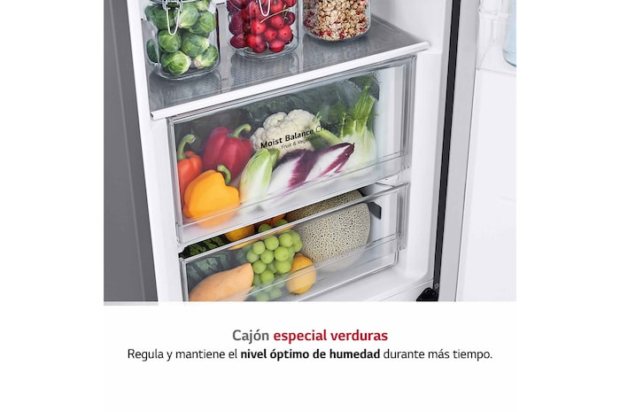 LG Frigorífico 1 puerta Door cooling, Total No Frost, Clasificación E, 413L, Inox antihuellas, GLT51PZGSZ