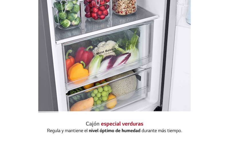 LG Frigorífico 1 puerta Door cooling, Total No Frost, Clasificación E, 413L, Inox antihuellas, GLT51PZGSZ
