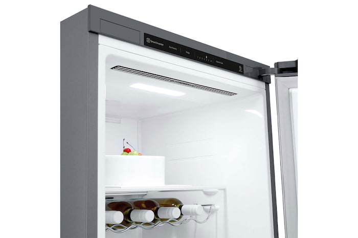 LG Frigorífico 1 puerta Door cooling, Total No Frost, Clasificación E, 413L, Inox antihuellas, GLT51PZGSZ