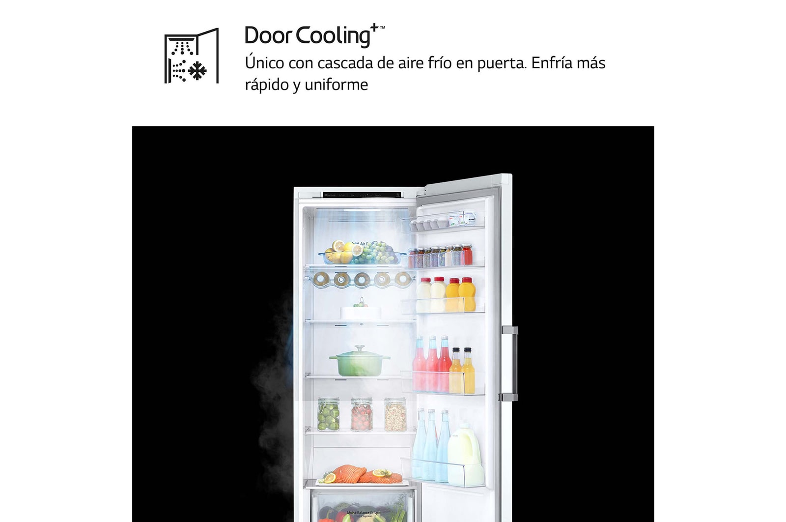 LG Nevera 1 Puerta DoorCooling + Clasificación E, 386L  - Blanco, GLT51SWGSZ