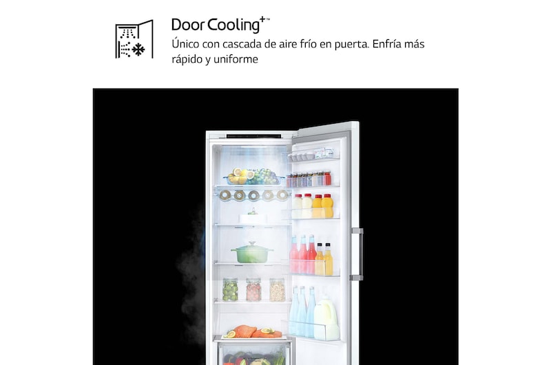 LG Frigorífico 1 Puerta DoorCooling + Clasificación E, 386L - Blanco, GLT51SWGSZ