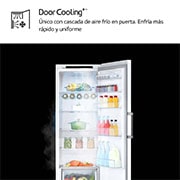 LG Nevera 1 Puerta DoorCooling + Clasificación E, 386L  - Blanco, GLT51SWGSZ