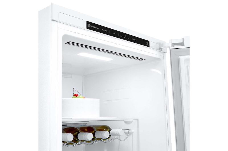 LG Frigorífico 1 Puerta DoorCooling + Clasificación E, 386L - Blanco, GLT51SWGSZ