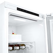 LG Nevera 1 Puerta DoorCooling + Clasificación E, 386L  - Blanco, GLT51SWGSZ