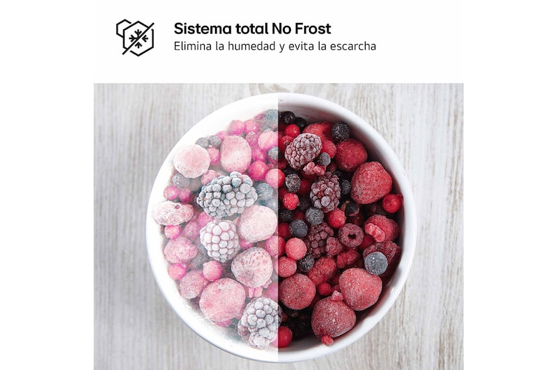 LG  Frigorifico de 2 Puertas, 287L, 1,68 m, Total No Frost - Blanco, GTBV20SWGKD