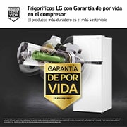 LG Frigorífico Dos Puertas 1,45m, Clasificación E, Total No Frost, Door Cooling - Blanco, GTBV22SWGKD