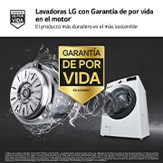 LG Lavadora LG F1P1CY2W, 17 kg, E, Blanco, 1100rpm, Serie  XXL, F1P1CY2W