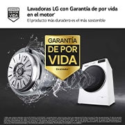 LG Lavadora inteligente AI Direct Drive. Vapor, Autodosificación,  9kg ,  1400rpm Un 10% más eficiente que A, Serie 550, F4WR5509A0W