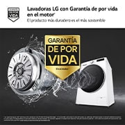 LG Lavadora inteligente AI Direct Drive. TurboWash 360º, Vapor,  10kg ,  1400rpm Un 10% más eficiente que A, Serie 600 , F4WR6010A0W