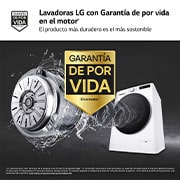 LG Outlet Lavadora inteligente AI Direct Drive. TurboWash 360º, Vapor, 10kg , 1400rpm Un 10% más eficiente que A, Serie 600, F4WR6010A1W.OUTLET