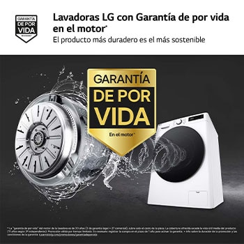 LG Outlet Lavadora inteligente AI Direct Drive. TurboWash 360º, Vapor, 10kg , 1400rpm Un 10% más eficiente que A, Serie 600, F4WR6010AGW.OUTLET
