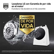 LG Lavadora 10kg ,  1400rpm  Un 10% más eficiente que A,   TurboWash 360º- Steam +, F4WR7010AGW