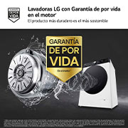 LG Lavadora 11kg ,  1400rpm  Un 10% más eficiente que A, TurboWash 360º-  Dosificador automático detergente, F4WR7511AGH