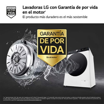 LG Lavadora 11kg ,  1400rpm  Un 10% más eficiente que A, TurboWash 360º-  Dosificador automático detergente, F4WR7511AGH