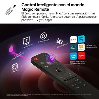 Magic Remote	