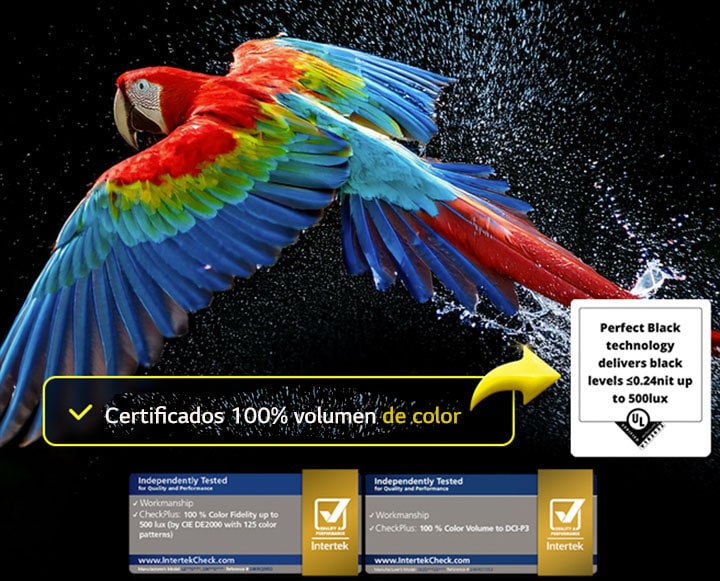 Colorido loro en ultra alta definición sobre fondo negro. A su alrededor hay gotas de agua suspendidas en el aire. La imagen muestra un color perfecto, ya que cada tono del cuerpo del loro es vibrante y vivo. El fondo oscuro con las salpicaduras de agua también pone de relieve la ausencia de reflejos en la pantalla. Se aprecian diferentes logotipos de certificación de UL e Intertek. Se refieren al 100% de fidelidad de color, al 100% de volumen de color y a la ausencia de reflejos. El texto también es visible, compruebe la marca de certificación Perfect Color.
