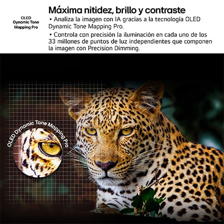 Un salón con una LG OLED TV montada en la pared. En el televisor se ve una cadena montañosa contra un cielo nocturno oscuro y lleno de estrellas. La escena está dividida por la mitad. Un lado muestra una versión más opaca y gris del paisaje denominada pantalla sin Perfect Black. El otro lado muestra una imagen más agradable con un rango más amplio y dinámico de blancos y negros. Esta pantalla está eqtiquetada como pantalla con Perfect Black. El logo de la certificación también es visible: la tecnología Perfect Black ofrece unos niveles de negro menores o iguales a 0,24 nit de hasta 500 lux. 