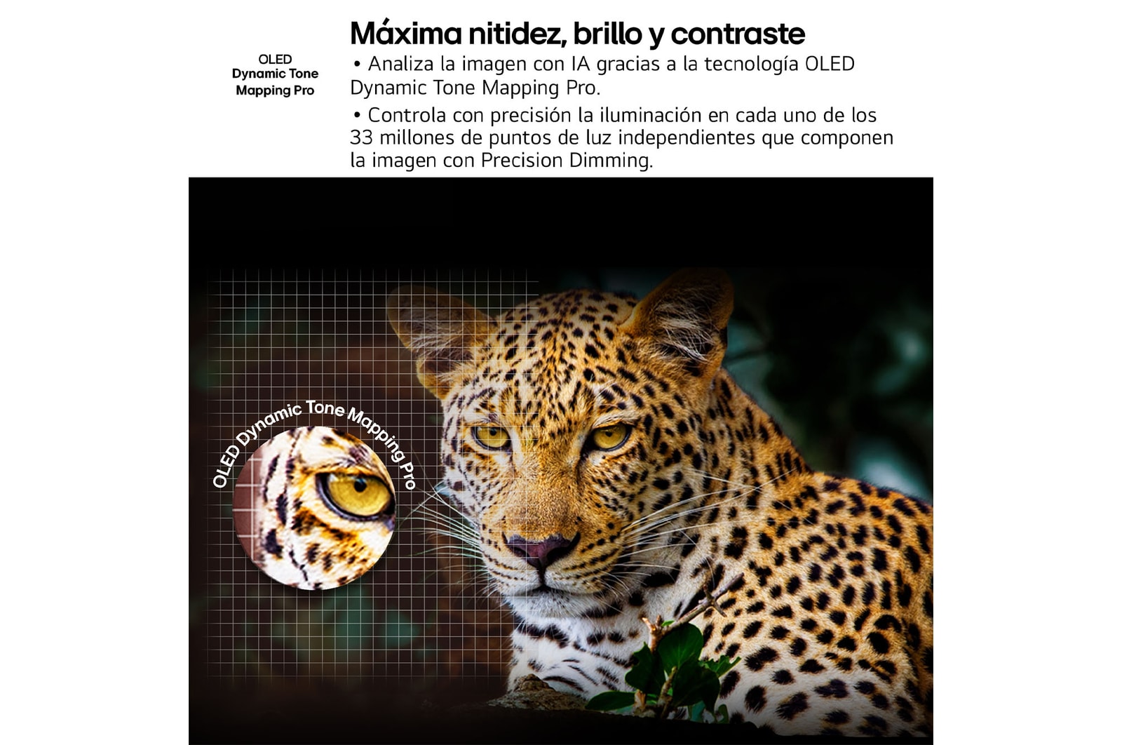 Un salón con una LG OLED TV montada en la pared. En el televisor se ve una cadena montañosa contra un cielo nocturno oscuro y lleno de estrellas. La escena está dividida por la mitad. Un lado muestra una versión más opaca y gris del paisaje denominada pantalla sin Perfect Black. El otro lado muestra una imagen más agradable con un rango más amplio y dinámico de blancos y negros. Esta pantalla está eqtiquetada como pantalla con Perfect Black. El logo de la certificación también es visible: la tecnología Perfect Black ofrece unos niveles de negro menores o iguales a 0,24 nit de hasta 500 lux. 