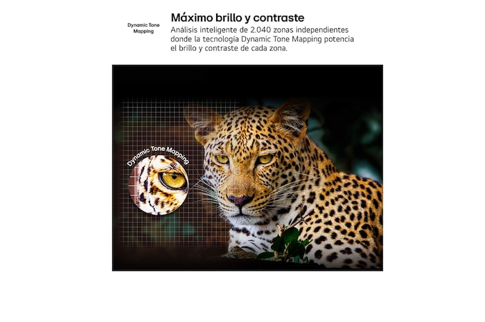 Comparativa del antes y después de cómo 4K Super Upscaling de LG mejora la calidad de la imagen. Dos paneles que muestran la misma imagen de un ave de color posada en una rama en un bosque, con el panel de la derecha degradada. El título hace referencia a cómo 4K Super Upscaling mejora la resolución, el brillo y la claridad. 