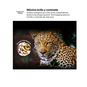 Comparativa del antes y después de cómo 4K Super Upscaling de LG mejora la calidad de la imagen. Dos paneles que muestran la misma imagen de un ave de color posada en una rama en un bosque, con el panel de la derecha degradada. El título hace referencia a cómo 4K Super Upscaling mejora la resolución, el brillo y la claridad. 