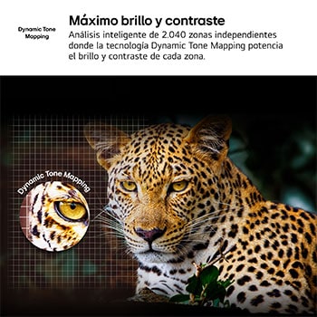 Comparativa del antes y después de cómo 4K Super Upscaling de LG mejora la calidad de la imagen. Dos paneles que muestran la misma imagen de un ave de color posada en una rama en un bosque, con el panel de la derecha degradada. El título hace referencia a cómo 4K Super Upscaling mejora la resolución, el brillo y la claridad. 