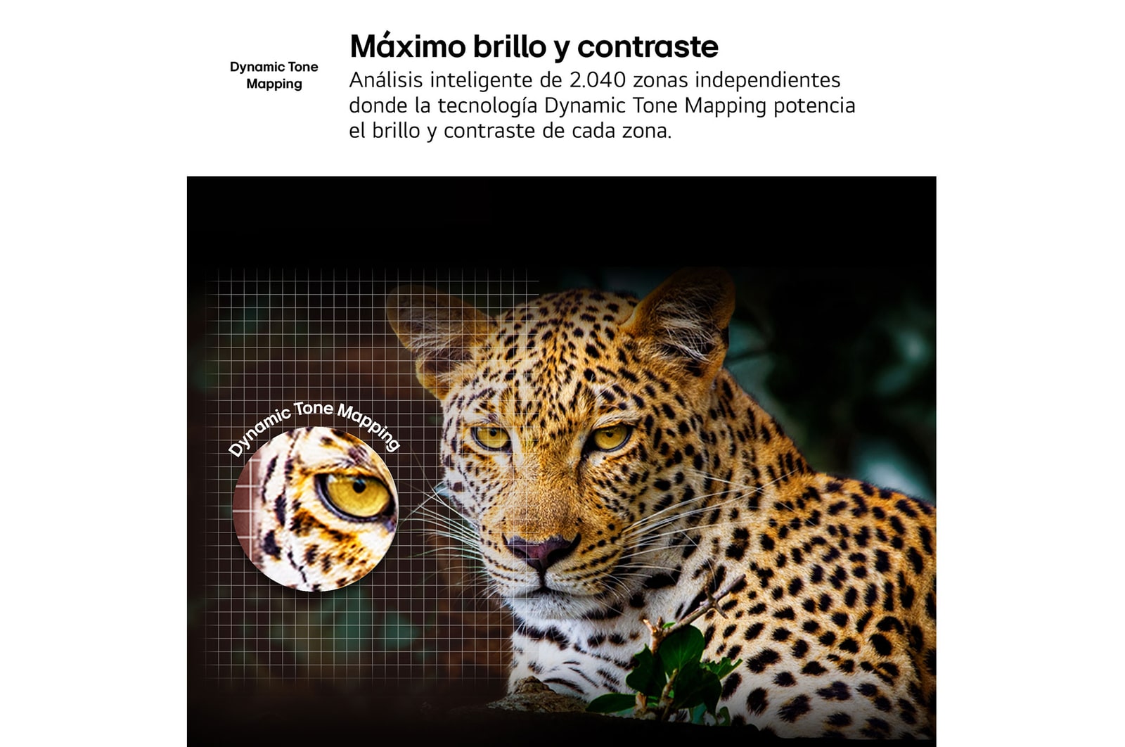 Comparativa del antes y después de cómo 4K Super Upscaling de LG mejora la calidad de la imagen. Dos paneles que muestran la misma imagen de un ave de color posada en una rama en un bosque, con el panel de la derecha degradada. El título hace referencia a cómo 4K Super Upscaling mejora la resolución, el brillo y la claridad.