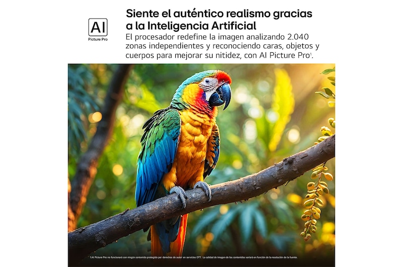 Salpicaduras de pintura de diversos colores brotan del suelo. Certificación 100% Color Volume a DCI-P3 por Intertrek. El título hace referencia a la nueva y exclusiva tecnología de vanguardia para obtener la amplia gama de colores de LG que te permite ver un color vívido en la pantalla.