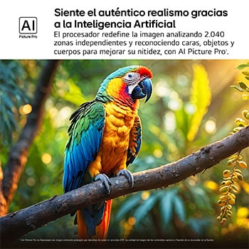 Loro sobre la rama de un árbol en color vívido. El título hace referencia a cómo AI Picture Pro de LG ha aplicado unas mejoras visuales impresionantes en la resolución, el brillo, la profundidad y la claridad de las escenas.