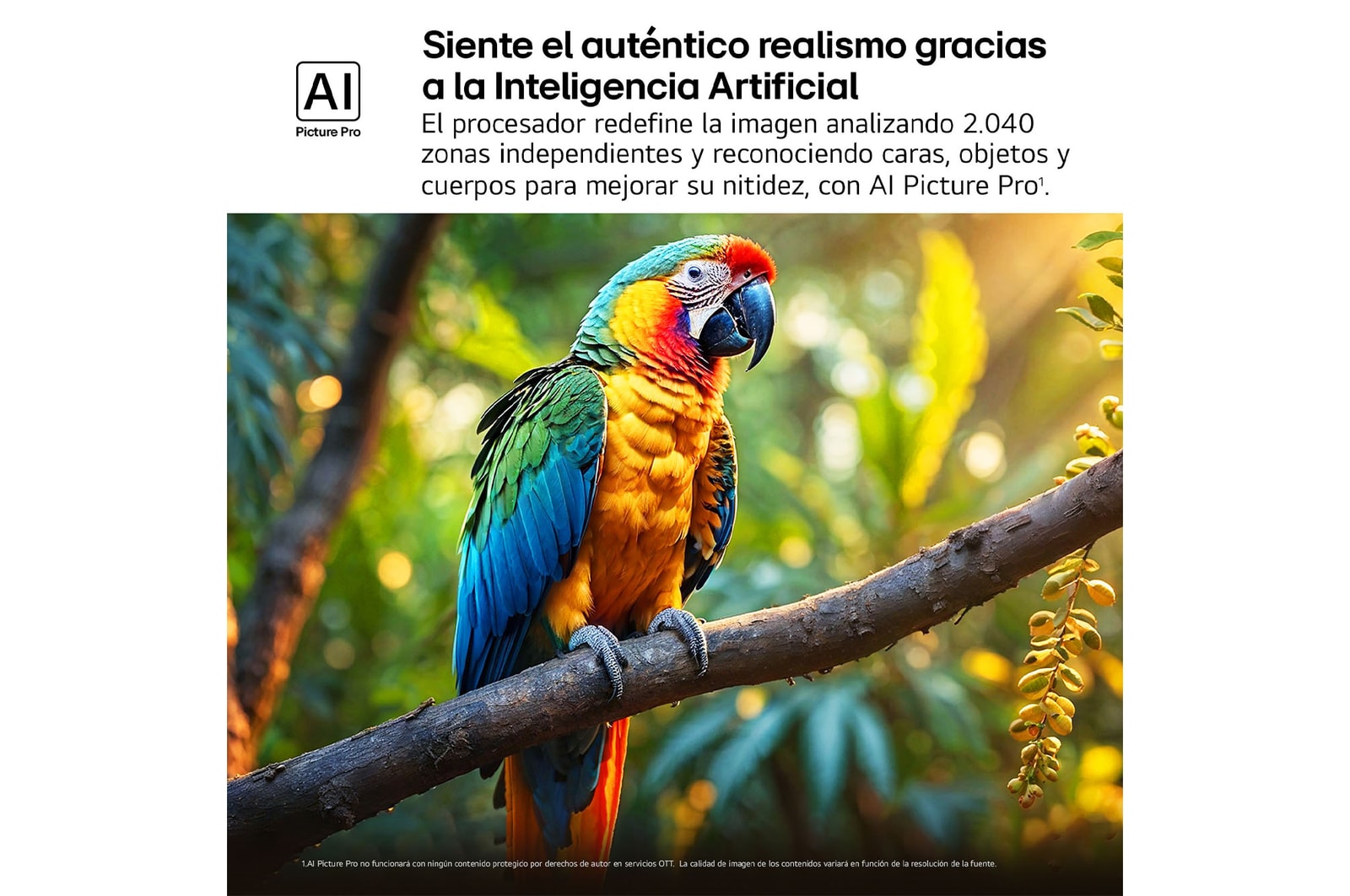 Loro sobre la rama de un árbol en color vívido. El título hace referencia a cómo AI Picture Pro de LG ha aplicado unas mejoras visuales impresionantes en la resolución, el brillo, la profundidad y la claridad de las escenas.