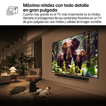 LG Smart TV LG QNED evo MiniLED AI QNED86 100 pulgadas 4K 2025, 100QNED86A6
