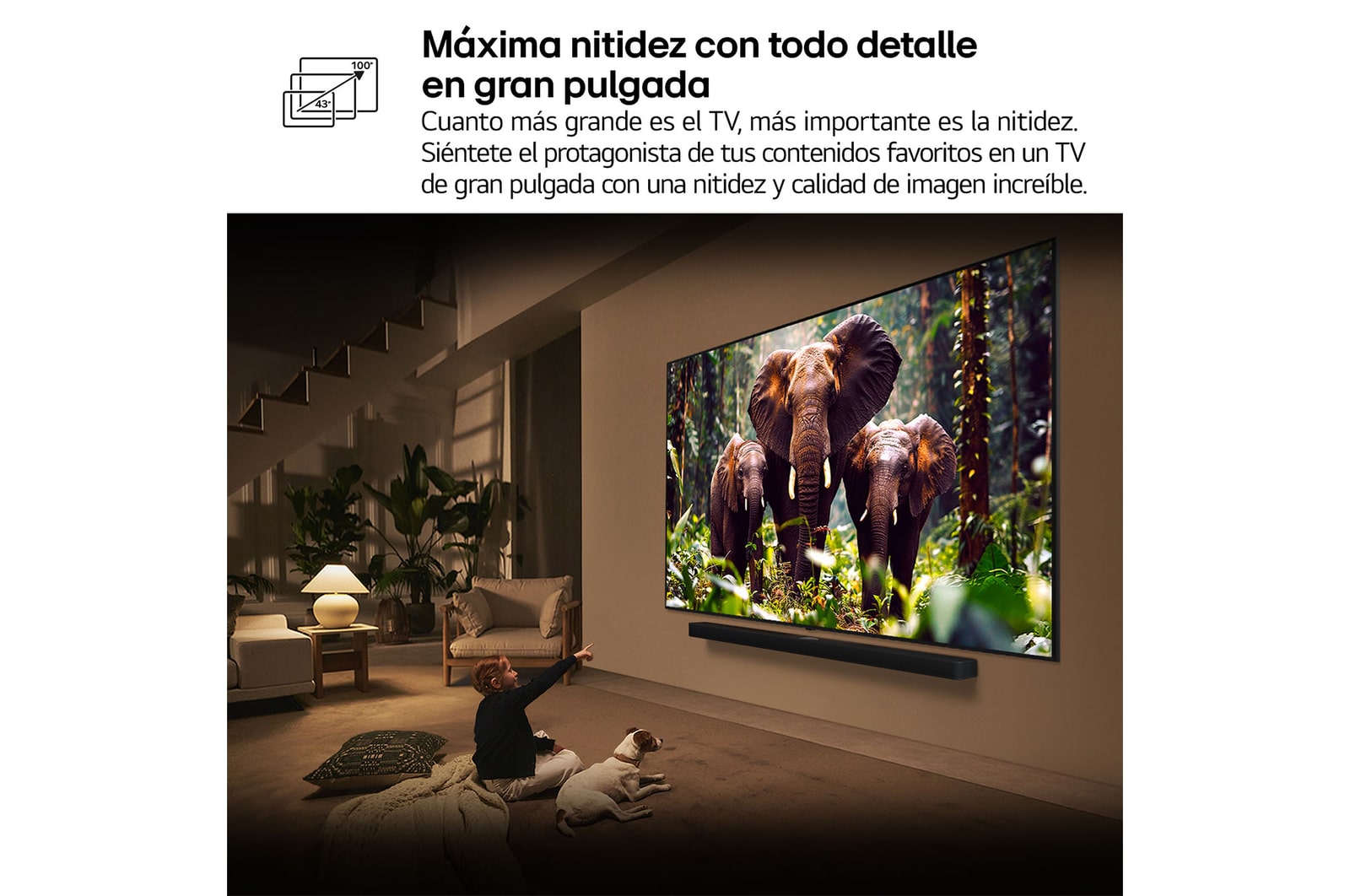 LG Smart TV LG QNED evo MiniLED AI QNED86 100 pulgadas 4K 2025, 100QNED86A6