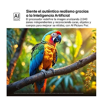 Salpicaduras de pintura de diversos colores brotan del suelo. Certificación 100% Color Volume a DCI-P3 por Intertrek. El título hace referencia a la nueva y exclusiva tecnología de vanguardia para obtener la amplia gama de colores de LG que te permite ver un color vívido en la pantalla.