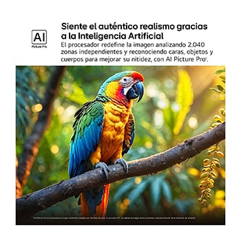 Salpicaduras de pintura de diversos colores brotan del suelo. Certificación 100% Color Volume a DCI-P3 por Intertrek. El título hace referencia a la nueva y exclusiva tecnología de vanguardia para obtener la amplia gama de colores de LG que te permite ver un color vívido en la pantalla.