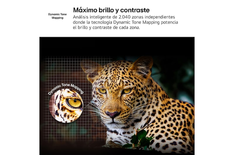 Before and after comparison of how LG 4K Super Upscaling improves image quality. Two panels showing the same image of a colorful bird sitting on a branch in a forest, panel on the right is faded out. The title talks about how 4K Super Upscaling enhances resolution, brightness and clarity. 