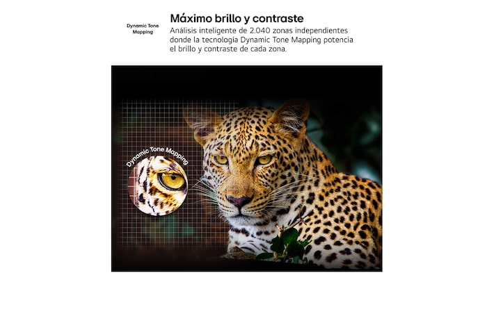 Before and after comparison of how LG 4K Super Upscaling improves image quality. Two panels showing the same image of a colorful bird sitting on a branch in a forest, panel on the right is faded out. The title talks about how 4K Super Upscaling enhances resolution, brightness and clarity. 